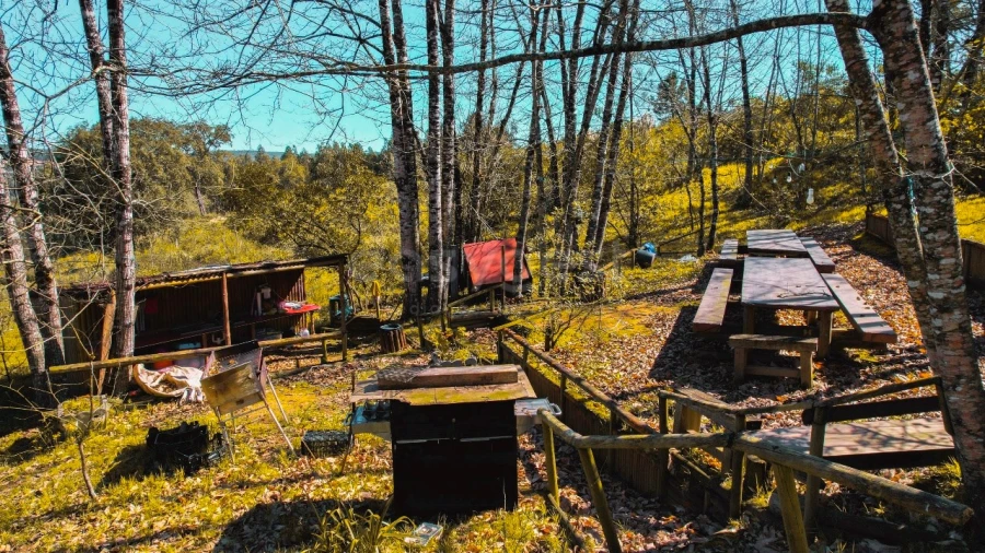 Terreno para Venda em Maiorga Foto 18