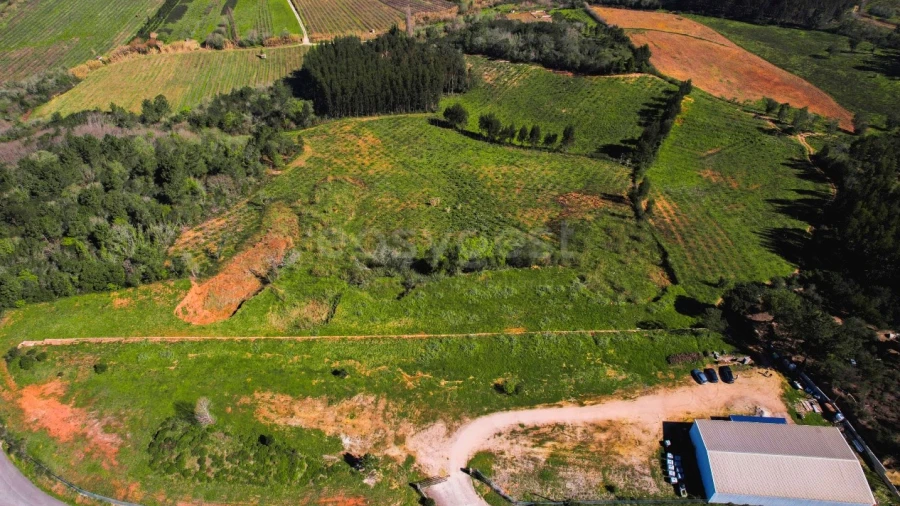 Terreno para Venda em Maiorga