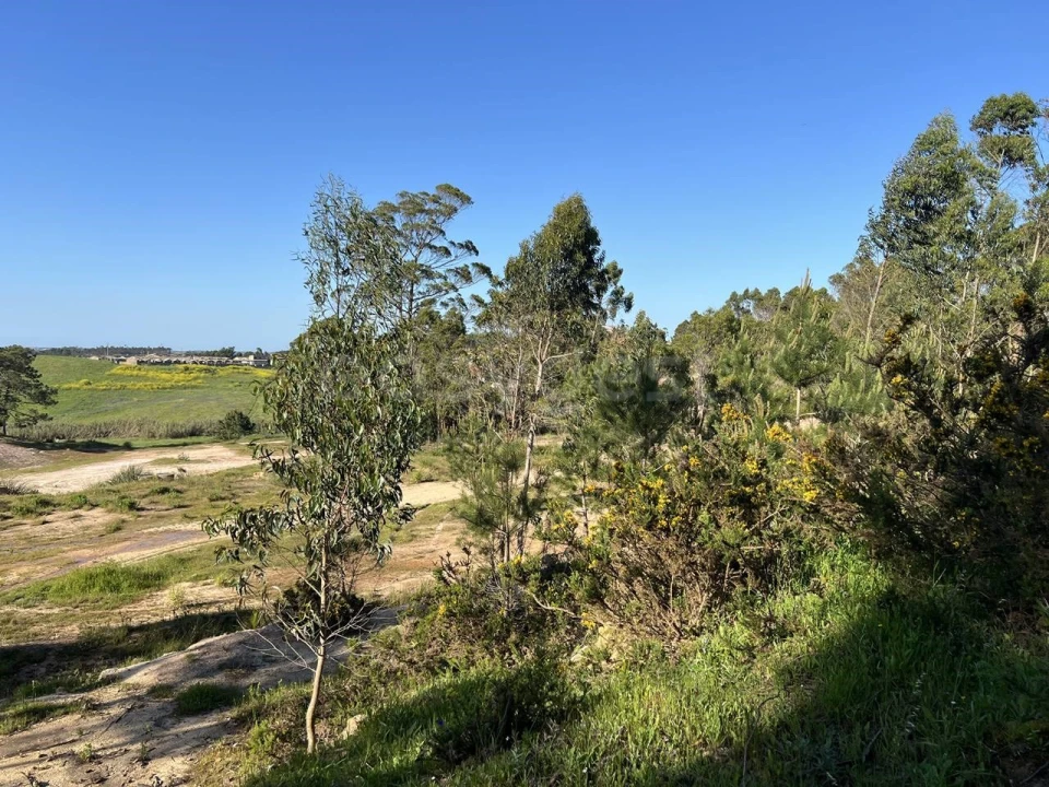 Terreno para Venda em Santa Maria, São Pedro e Matacães Foto 9