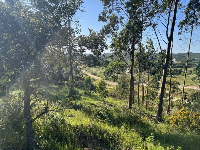 Terreno para Venda em Santa Maria, São Pedro e Matacães Foto 3