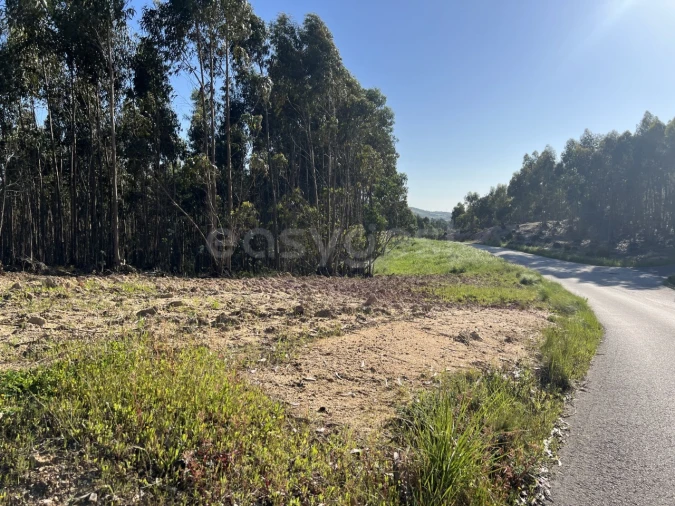 Terreno para Venda em Santa Maria, São Pedro e Matacães Foto 8