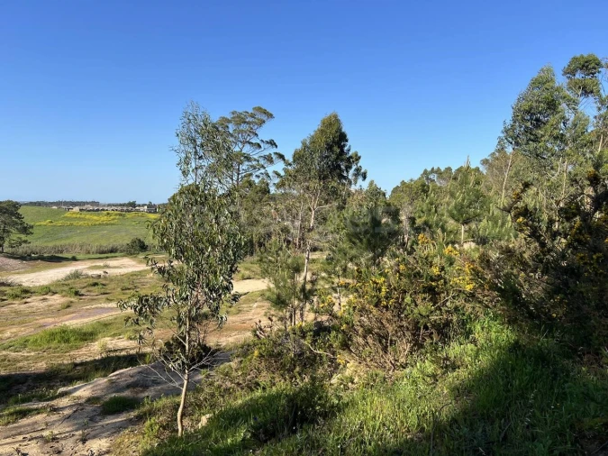 Terreno para Venda em Santa Maria, São Pedro e Matacães Foto 9