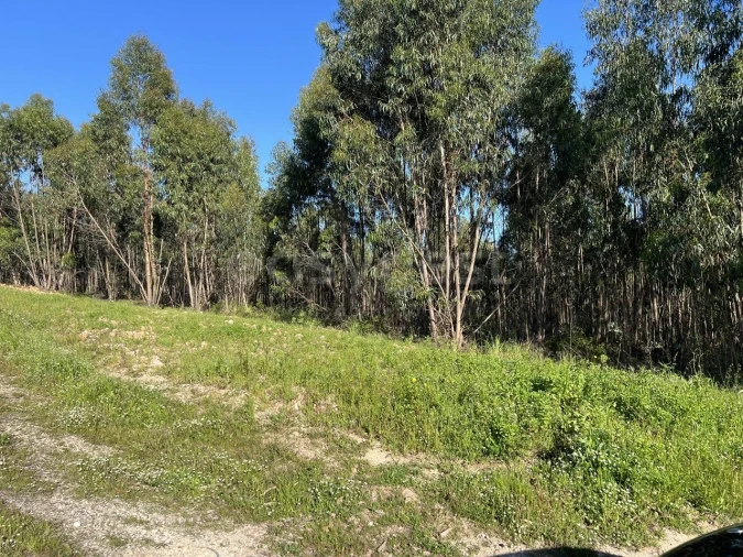 Terreno para Venda em Santa Maria, São Pedro e Matacães Foto 14