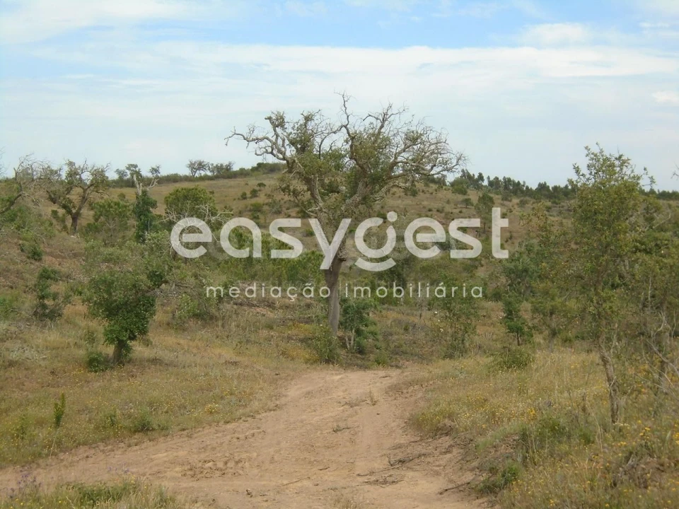 Terreno para Venda em Santiago do Cacém, Santa Cruz e São Bartolomeu da Serra Foto 14