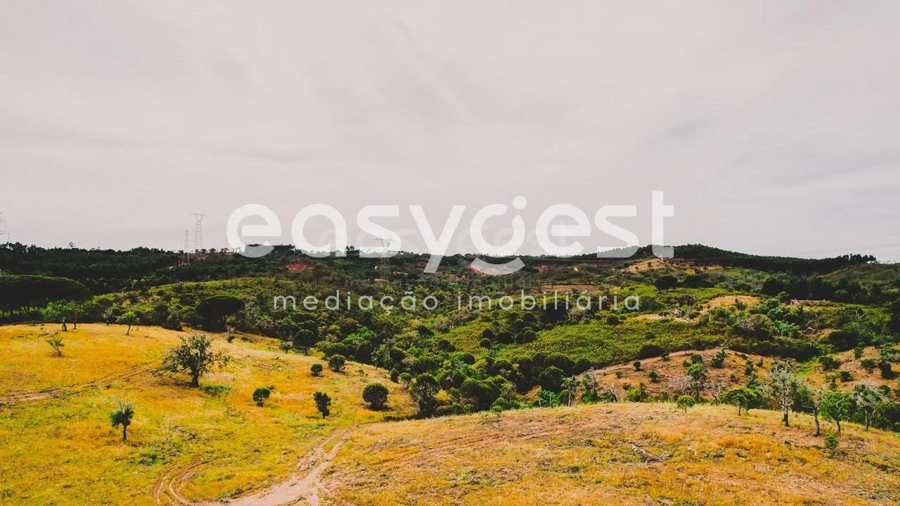 Terreno para Venda em Santiago do Cacém, Santa Cruz e São Bartolomeu da Serra Foto 19
