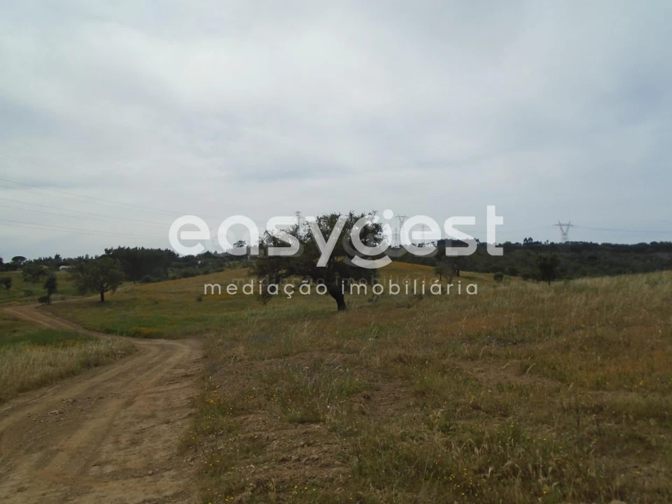 Terreno para Venda em Santiago do Cacém, Santa Cruz e São Bartolomeu da Serra Foto 25