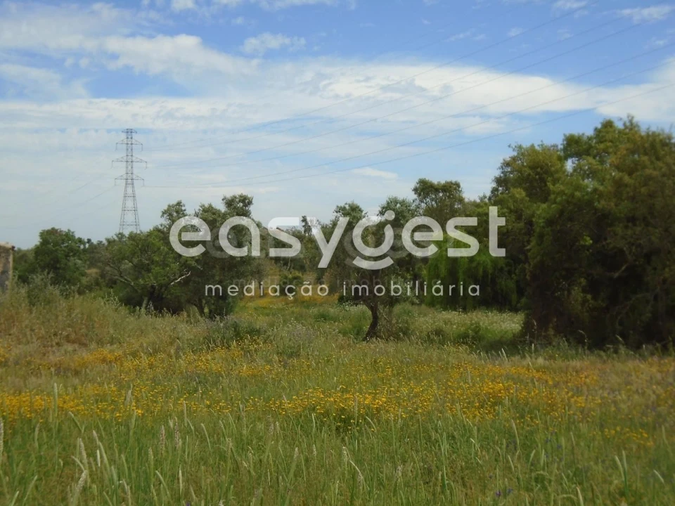 Terreno para Venda em Santiago do Cacém, Santa Cruz e São Bartolomeu da Serra Foto 29