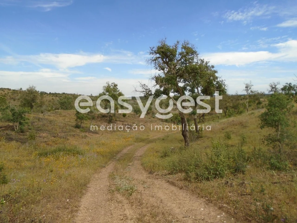 Terreno para Venda em Santiago do Cacém, Santa Cruz e São Bartolomeu da Serra Foto 44
