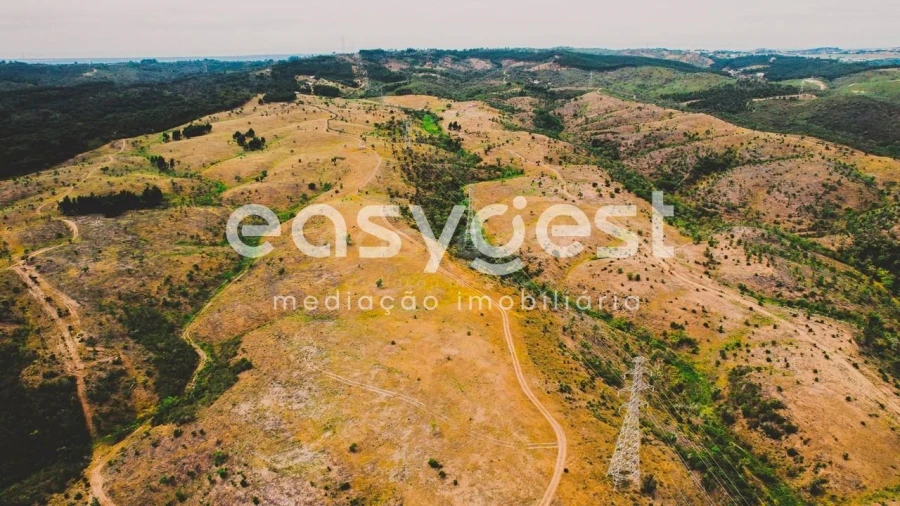 Terreno para Venda em Santiago do Cacém, Santa Cruz e São Bartolomeu da Serra Foto 6