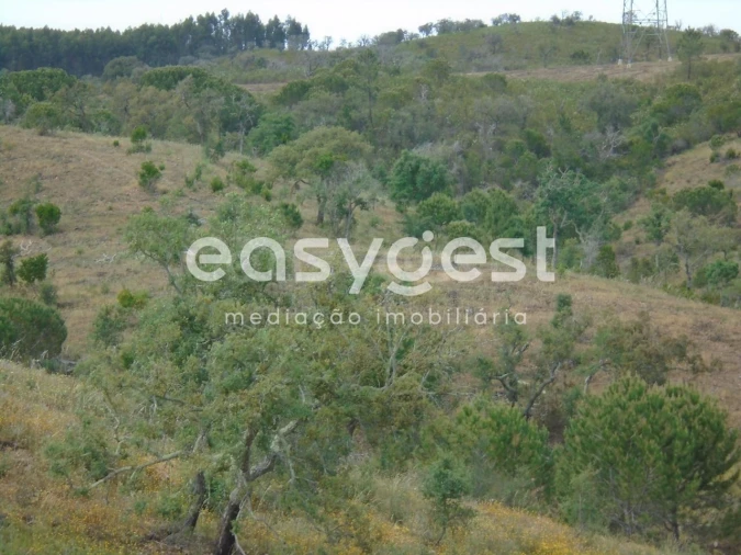 Terreno para Venda em Santiago do Cacém, Santa Cruz e São Bartolomeu da Serra Foto 10