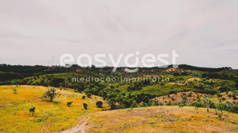 Terreno para Venda em Santiago do Cacém, Santa Cruz e São Bartolomeu da Serra Foto 19