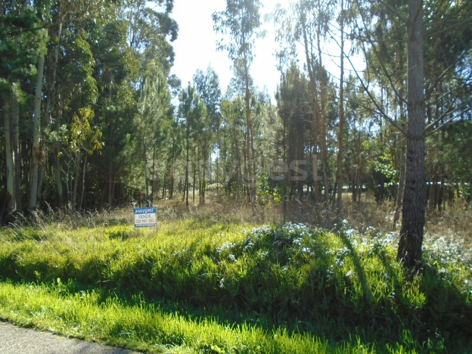 Terreno para Venda em Pataias e Martingança Foto 2