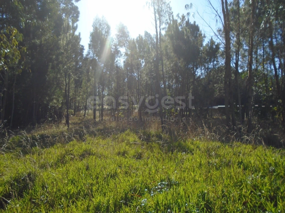 Terreno para Venda em Pataias e Martingança Foto 3
