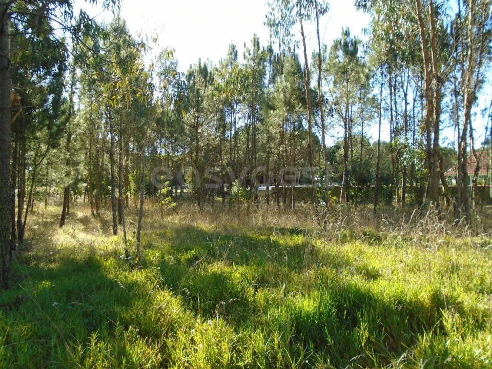 Terreno para Venda em Pataias e Martingança Foto 4