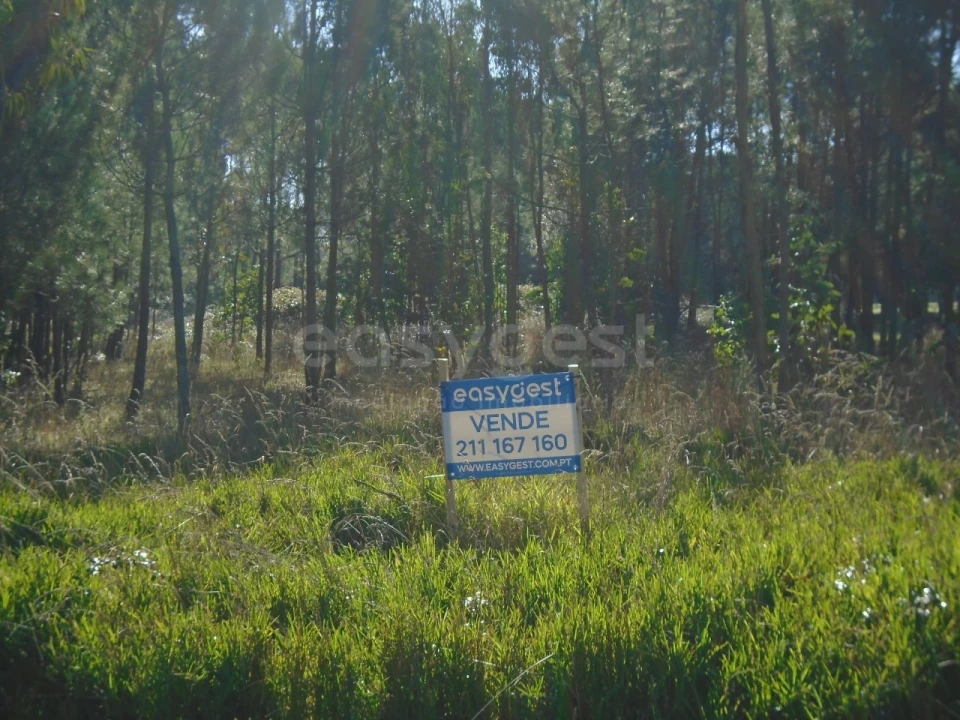 Terreno para Venda em Pataias e Martingança Foto 8