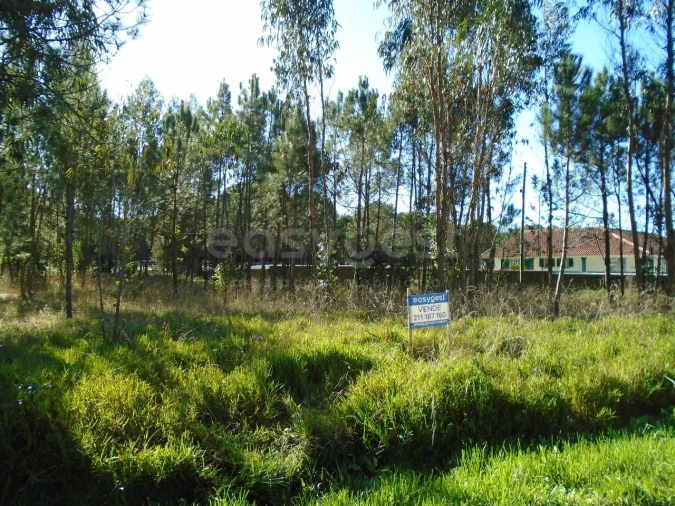 Terreno para Venda em Pataias e Martingança Foto 1