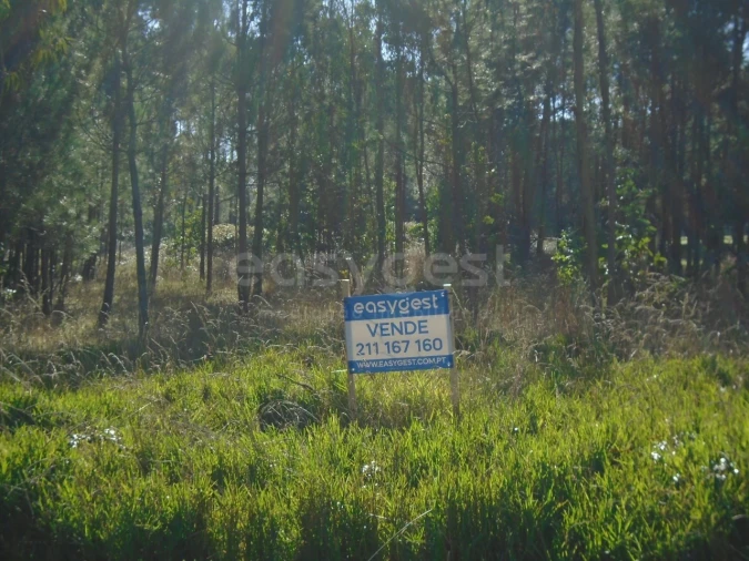 Terreno para Venda em Pataias e Martingança Foto 8