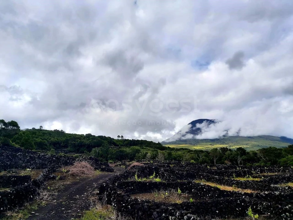 Terreno para Venda em São Mateus Foto 4