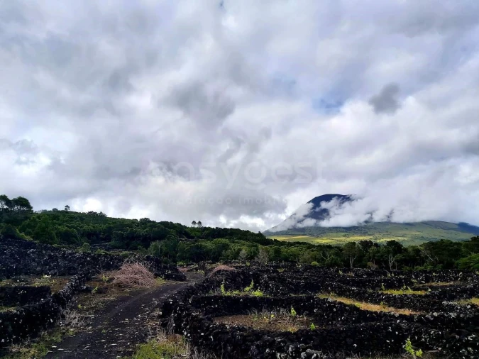 Terreno para Venda em São Mateus Foto 4