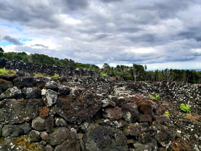 Terreno para Venda em São Mateus Foto 5