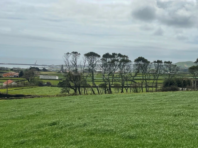 Terreno para Venda em Praia da Vitoria (Santa Cruz) Foto 6