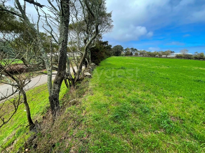 Terreno para Venda em Praia da Vitoria (Santa Cruz) Foto 8