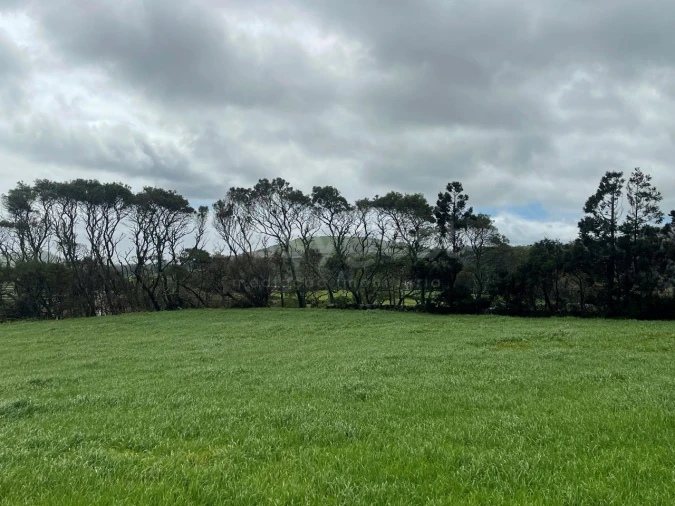 Terreno para Venda em Praia da Vitoria (Santa Cruz) Foto 11