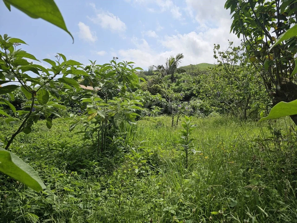 Terreno para Venda em Rabo de Peixe Foto 5
