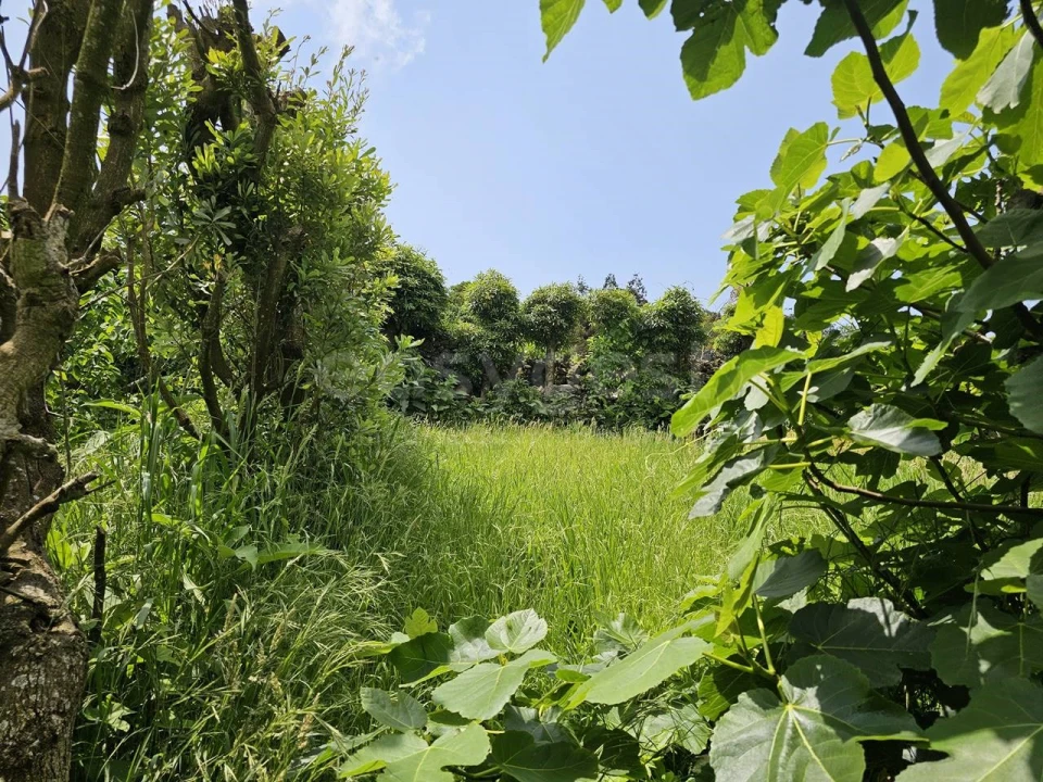 Terreno para Venda em Rabo de Peixe Foto 6