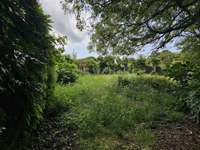 Terreno para Venda em Rabo de Peixe Foto 4