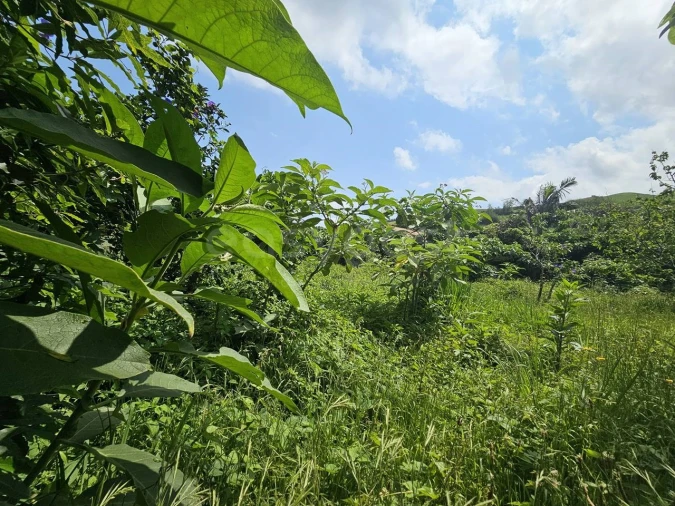 Terreno para Venda em Rabo de Peixe Foto 8