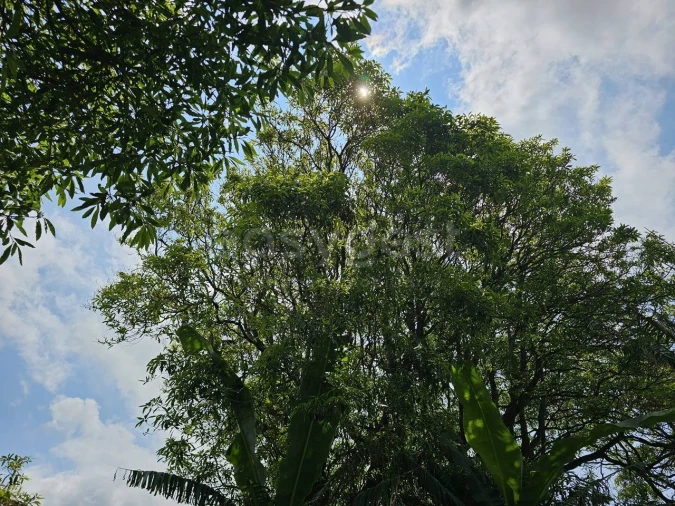 Terreno para Venda em Rabo de Peixe Foto 14