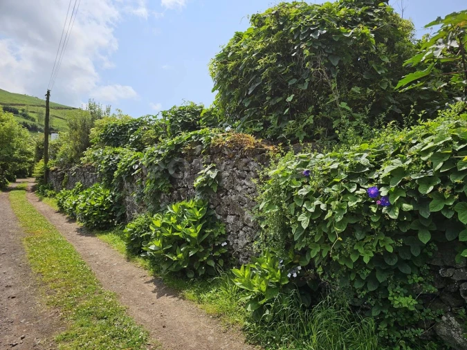 Terreno para Venda em Rabo de Peixe Foto 20