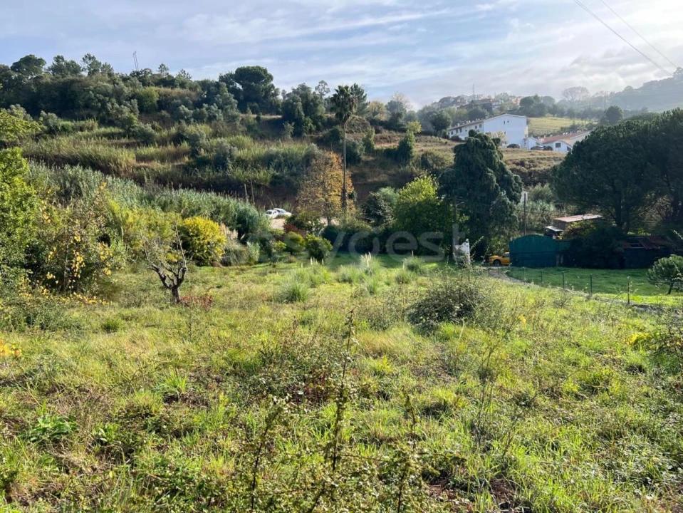 Terreno para Venda em Maiorga Foto 2