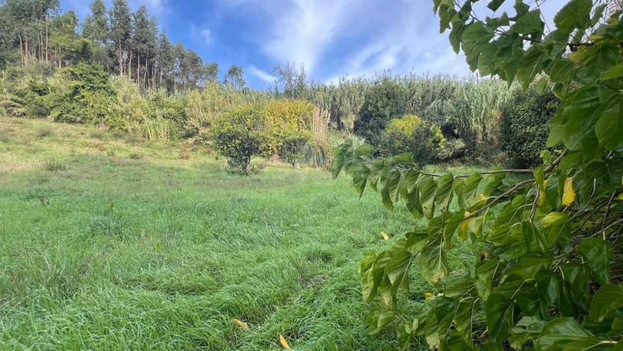 Terreno para Venda em Maiorga Foto 5