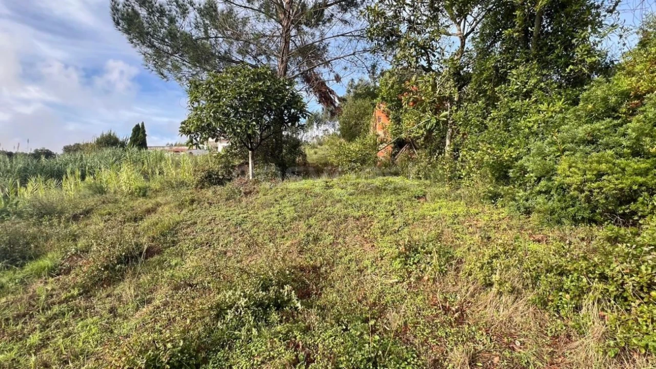 Terreno para Venda em Maiorga Foto 7