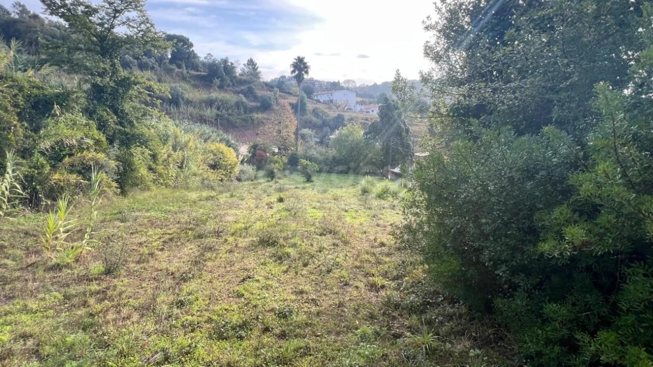 Terreno para Venda em Maiorga Foto 10