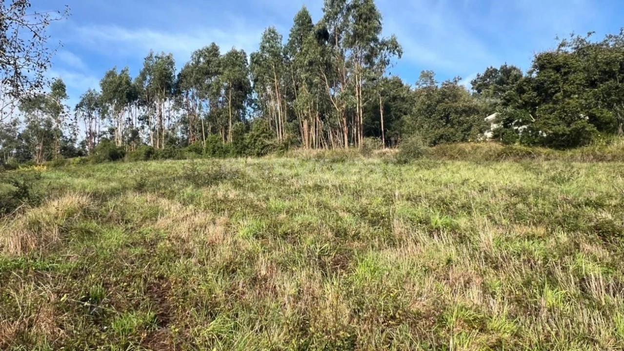 Terreno para Venda em Maiorga Foto 12