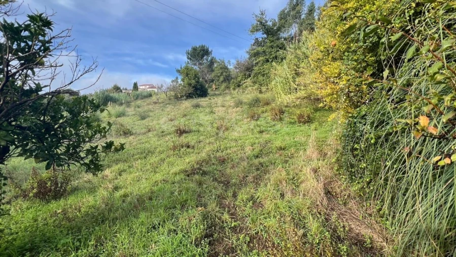 Terreno para Venda em Maiorga Foto 8