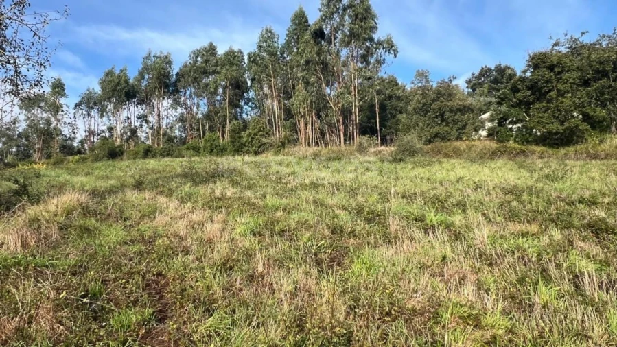 Terreno para Venda em Maiorga Foto 12