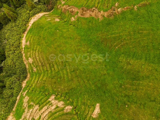 Terreno para Venda em Ajuda da Bretanha Foto 6