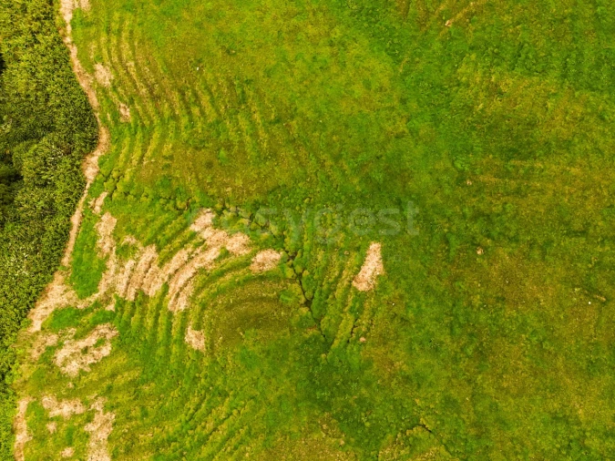 Terreno para Venda em Ajuda da Bretanha Foto 7