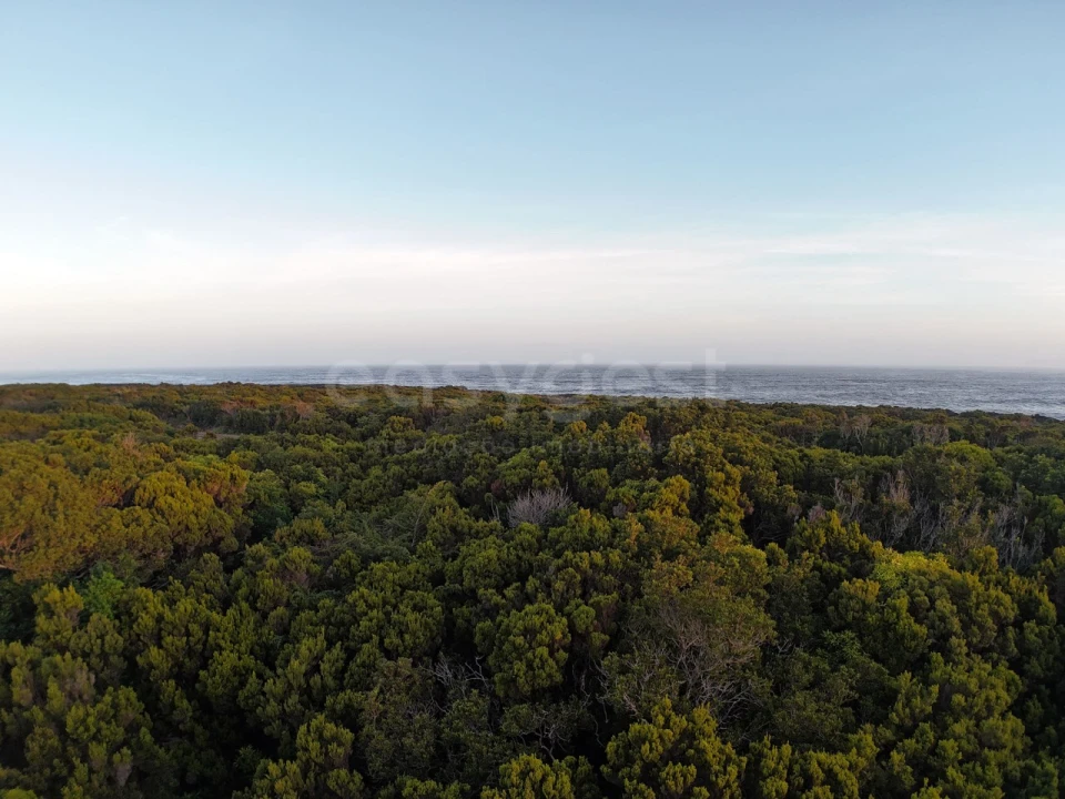 Terreno para Venda em Madalena Foto 2