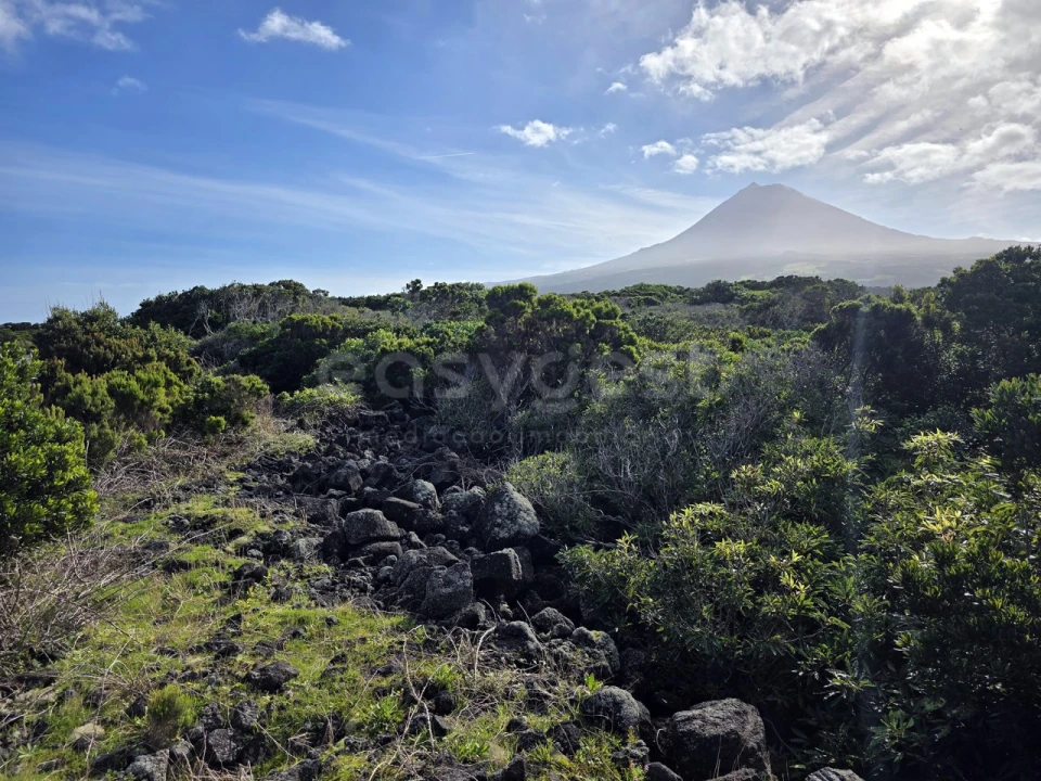 Terreno para Venda em Madalena Foto 10