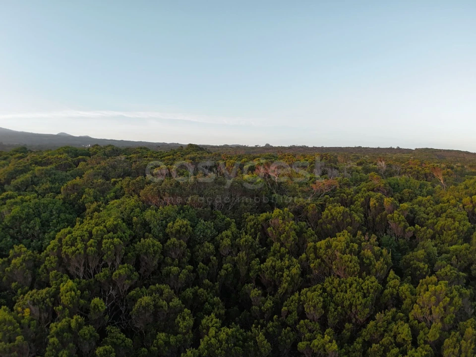 Terreno para Venda em Madalena Foto 13