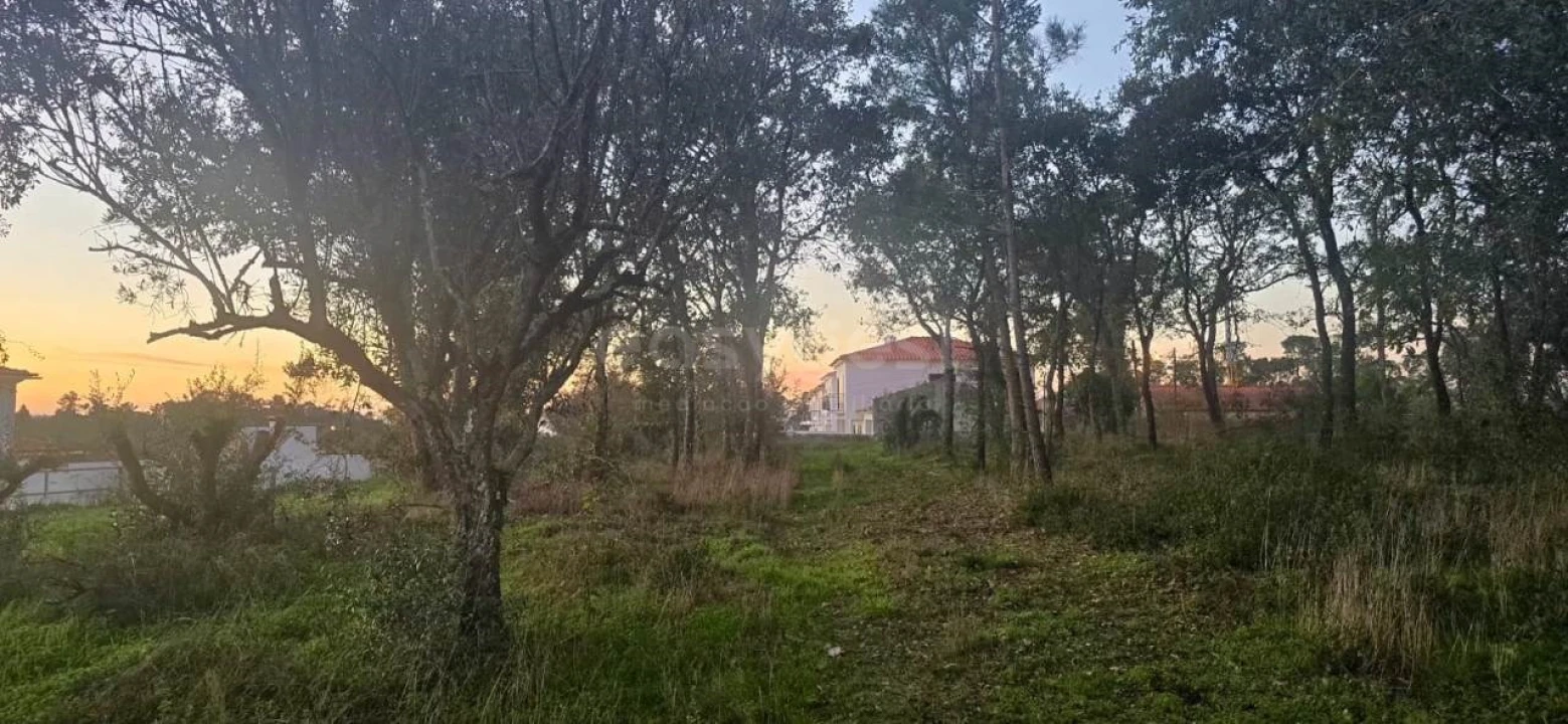 Terreno para Venda em Souto da Carpalhosa e Ortigosa Foto 2