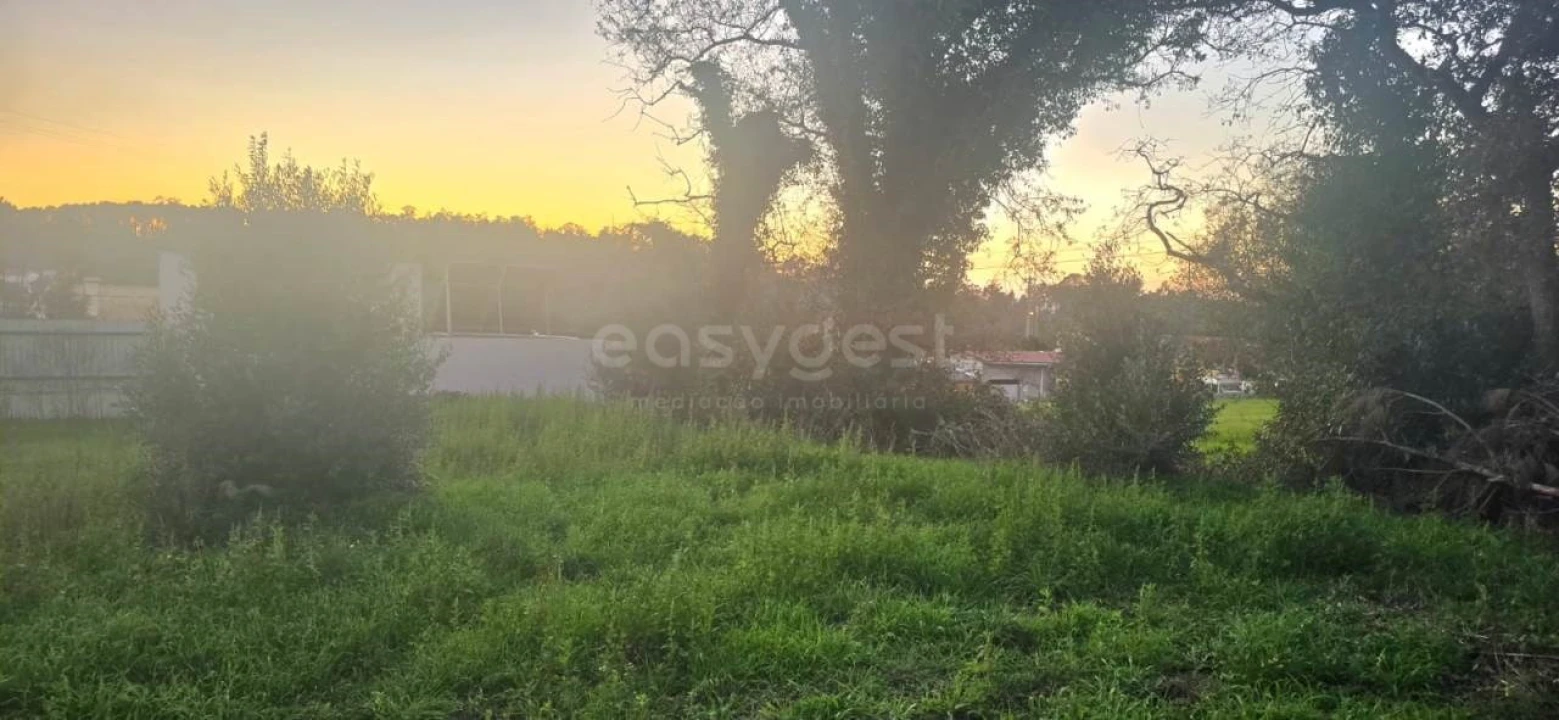 Terreno para Venda em Souto da Carpalhosa e Ortigosa Foto 4