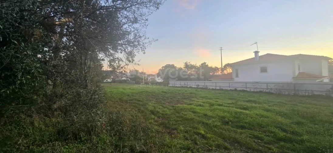 Terreno para Venda em Souto da Carpalhosa e Ortigosa Foto 6