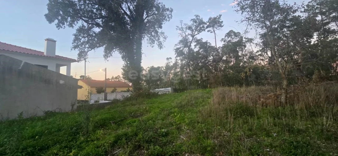 Terreno para Venda em Souto da Carpalhosa e Ortigosa Foto 7