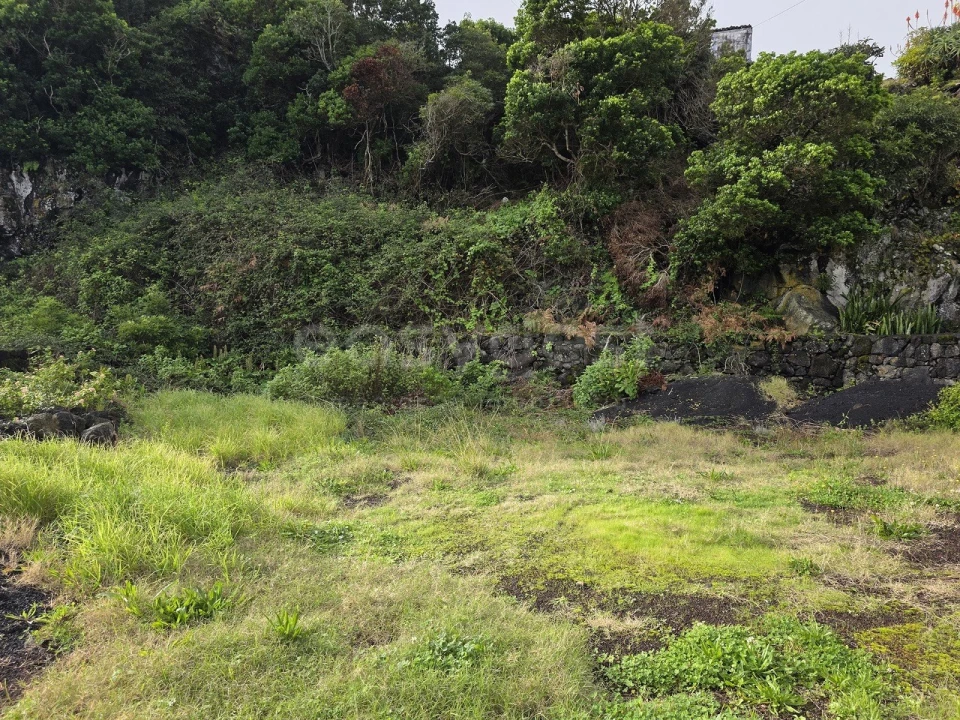 Terreno para Venda em Piedade Foto 13